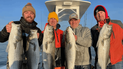 Striped Bass, Cape Cod 2022